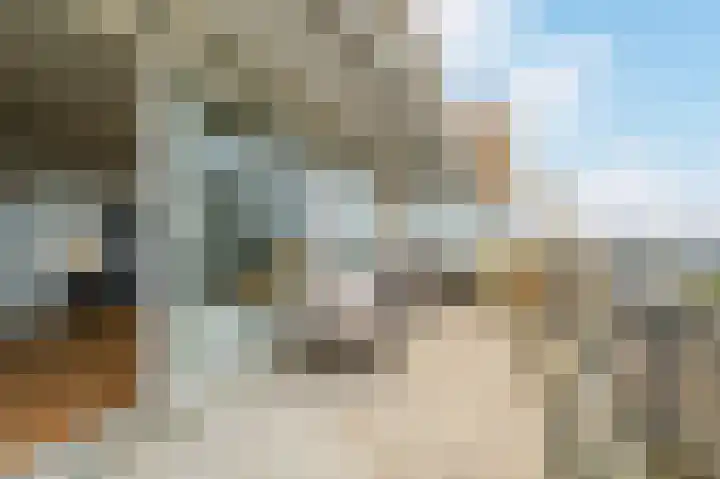 Reinout 30 Noordwijk thumbnail 36