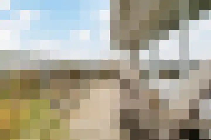 Reinout 30 Noordwijk thumbnail 37
