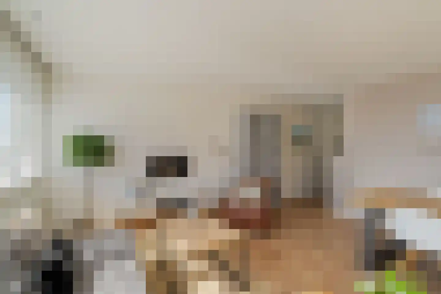 Reinout 36 Noordwijk thumbnail 8