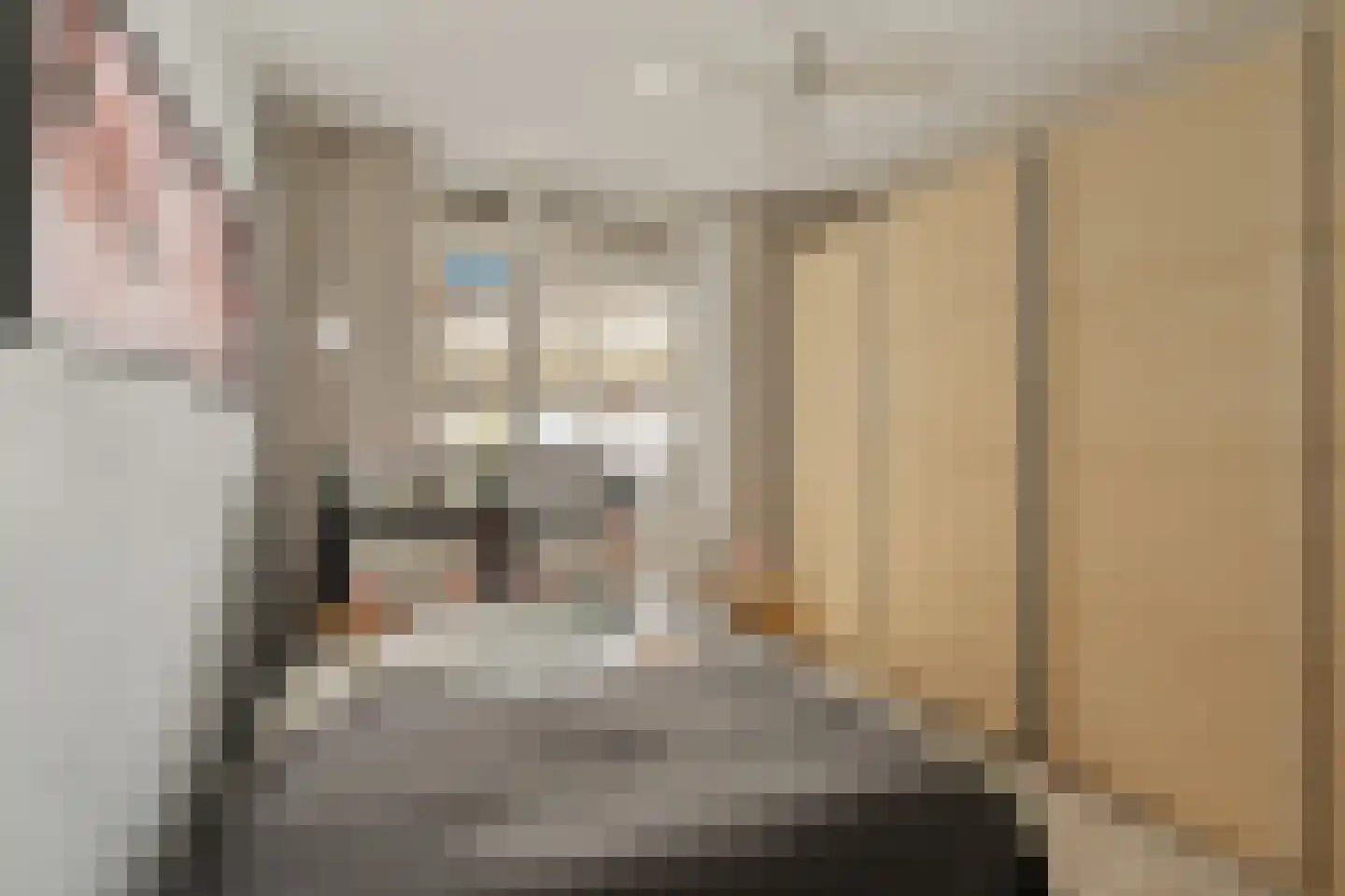 Reinout 8 Noordwijk thumbnail 15
