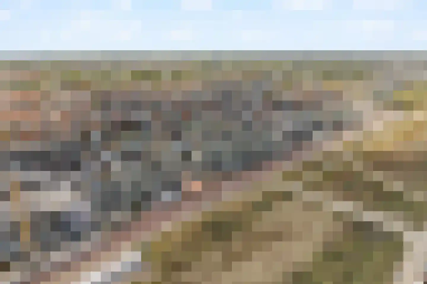 Reinout 8 Noordwijk thumbnail 25