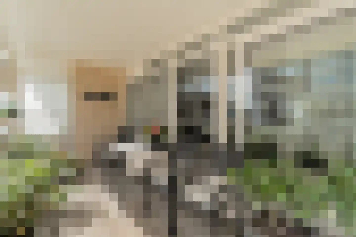Reinout 8 Noordwijk thumbnail 8