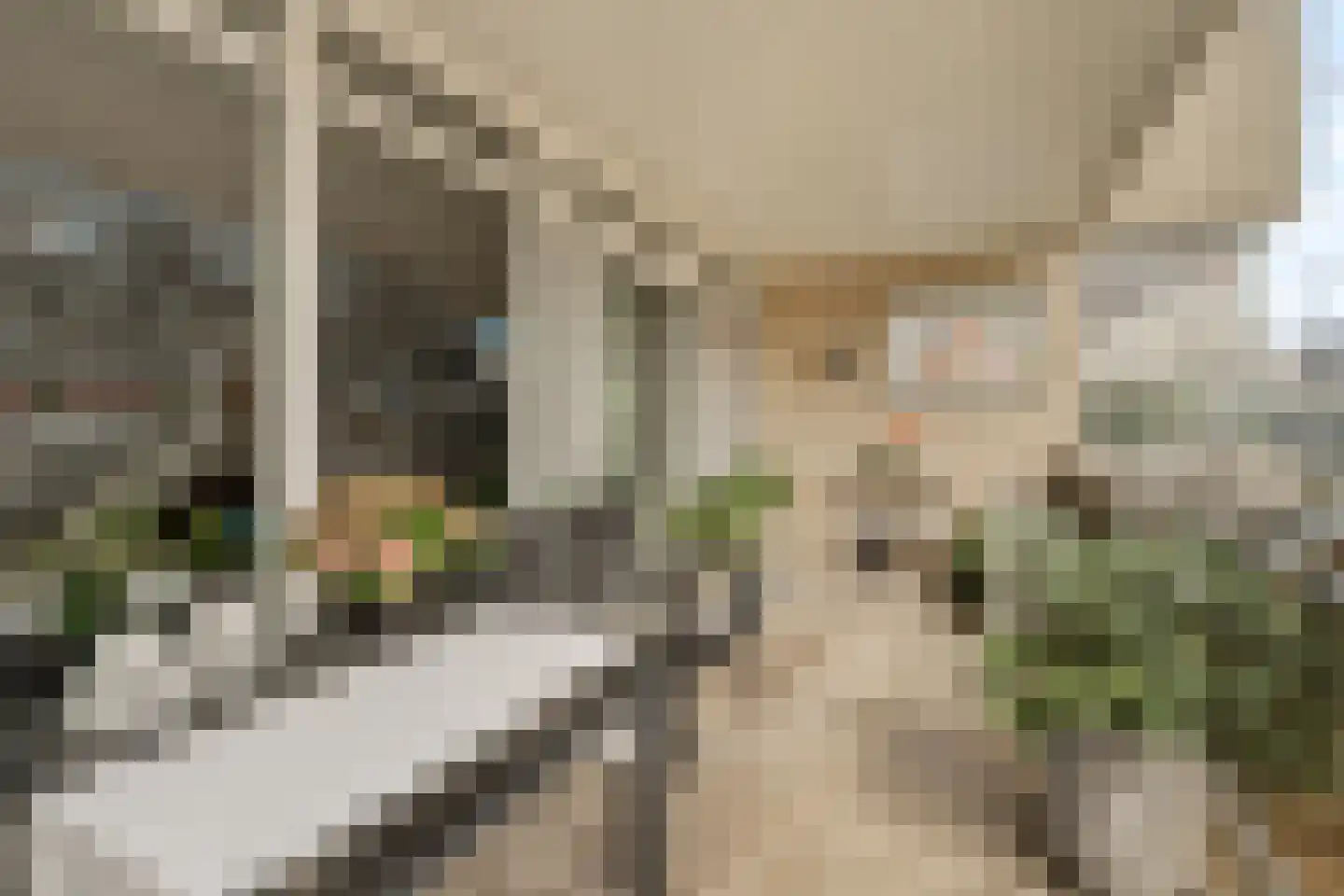 Reinout 8 Noordwijk thumbnail 9