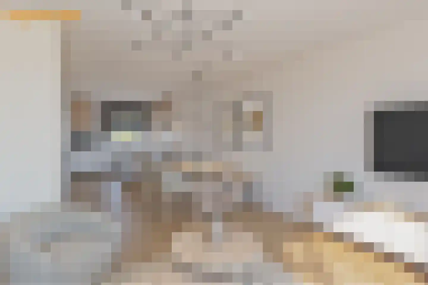 Reinout van Valkenburgstraat 13 Ravenstein thumbnail 14
