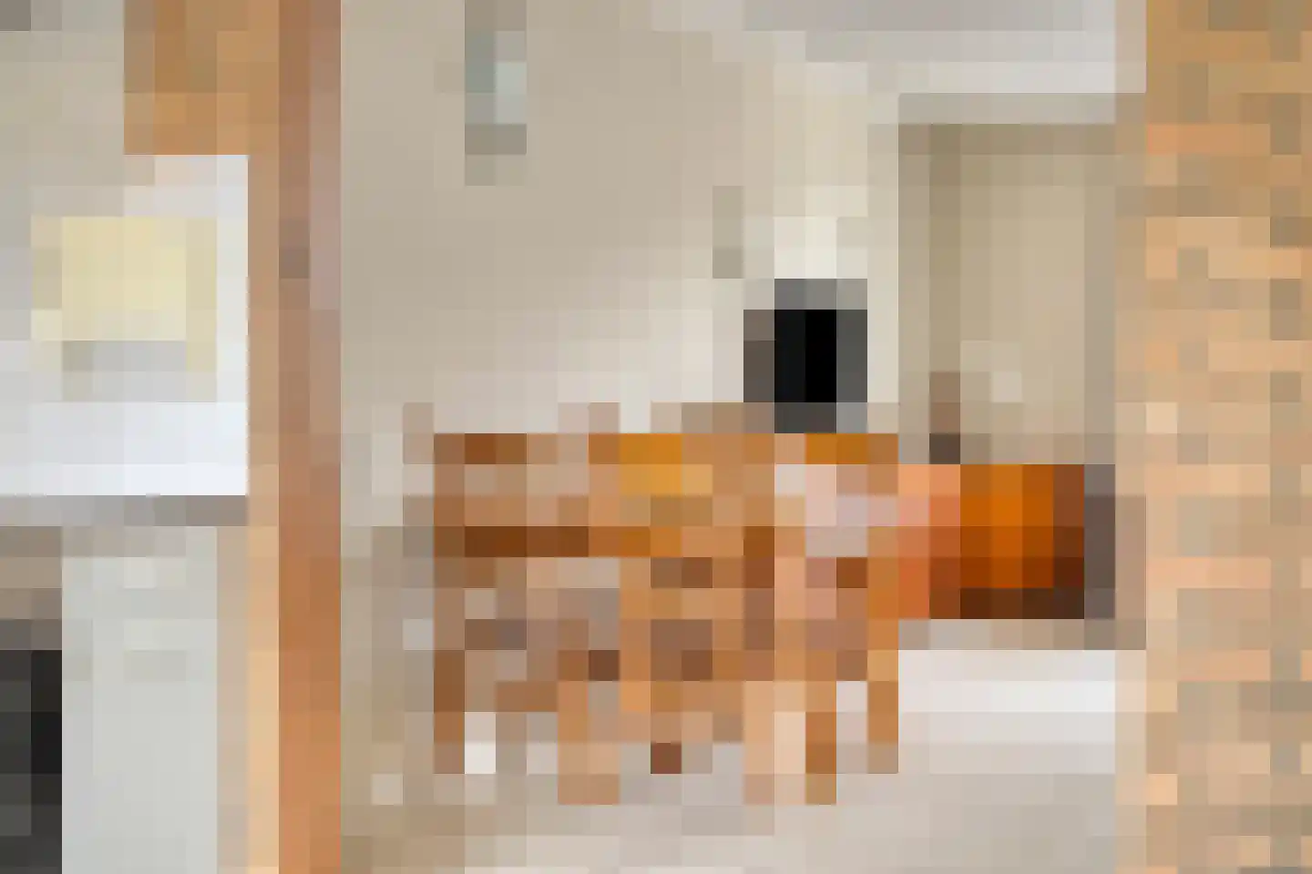 Reinout van Valkenburgstraat 13 Ravenstein thumbnail 15