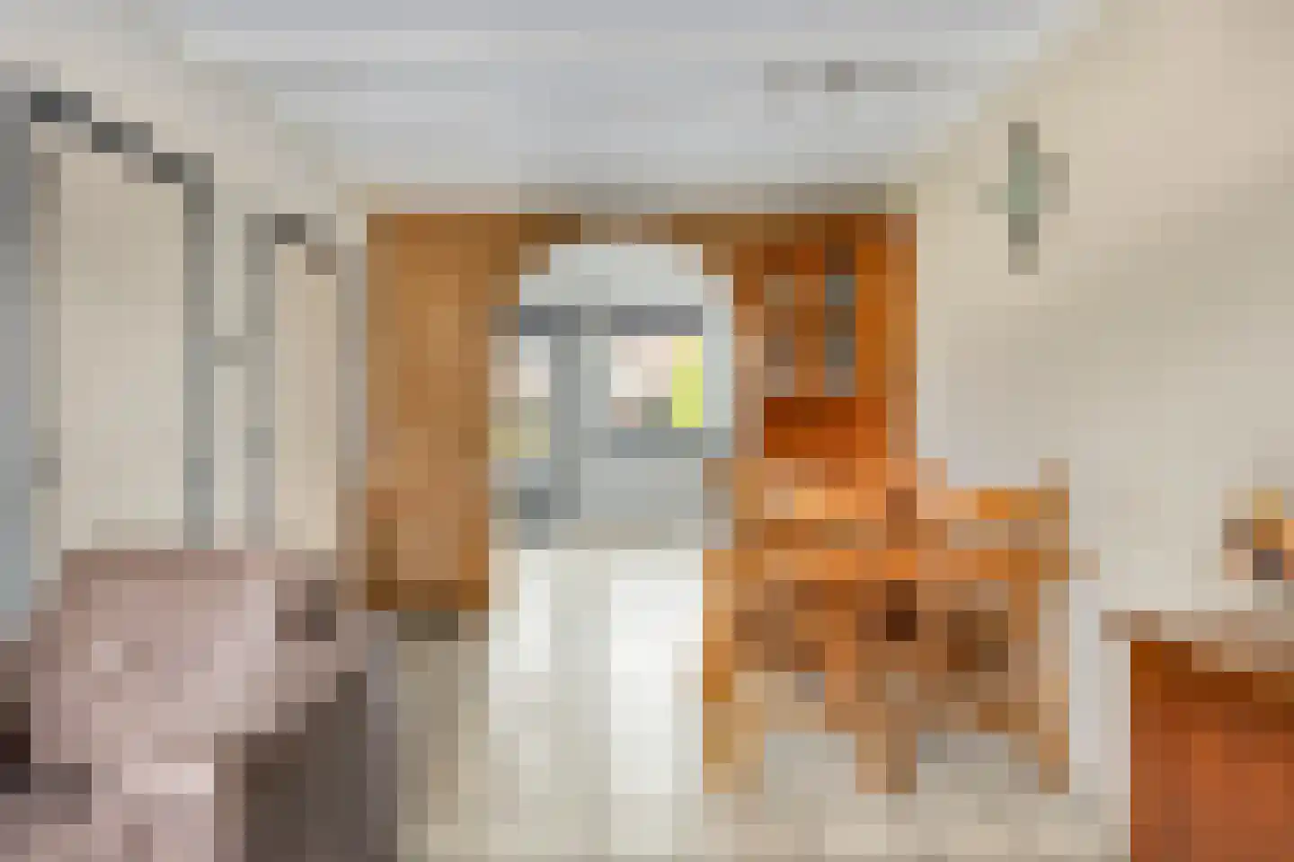 Reinout van Valkenburgstraat 13 Ravenstein thumbnail 17