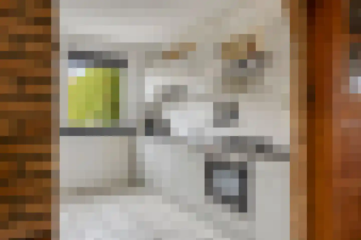 Reinout van Valkenburgstraat 13 Ravenstein thumbnail 18