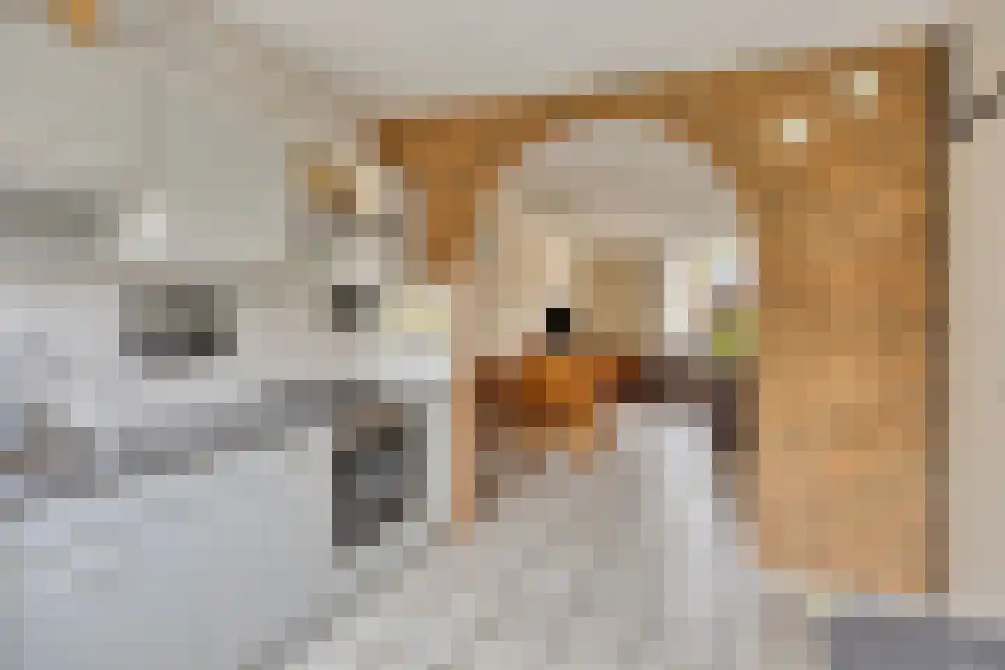 Reinout van Valkenburgstraat 13 Ravenstein thumbnail 20