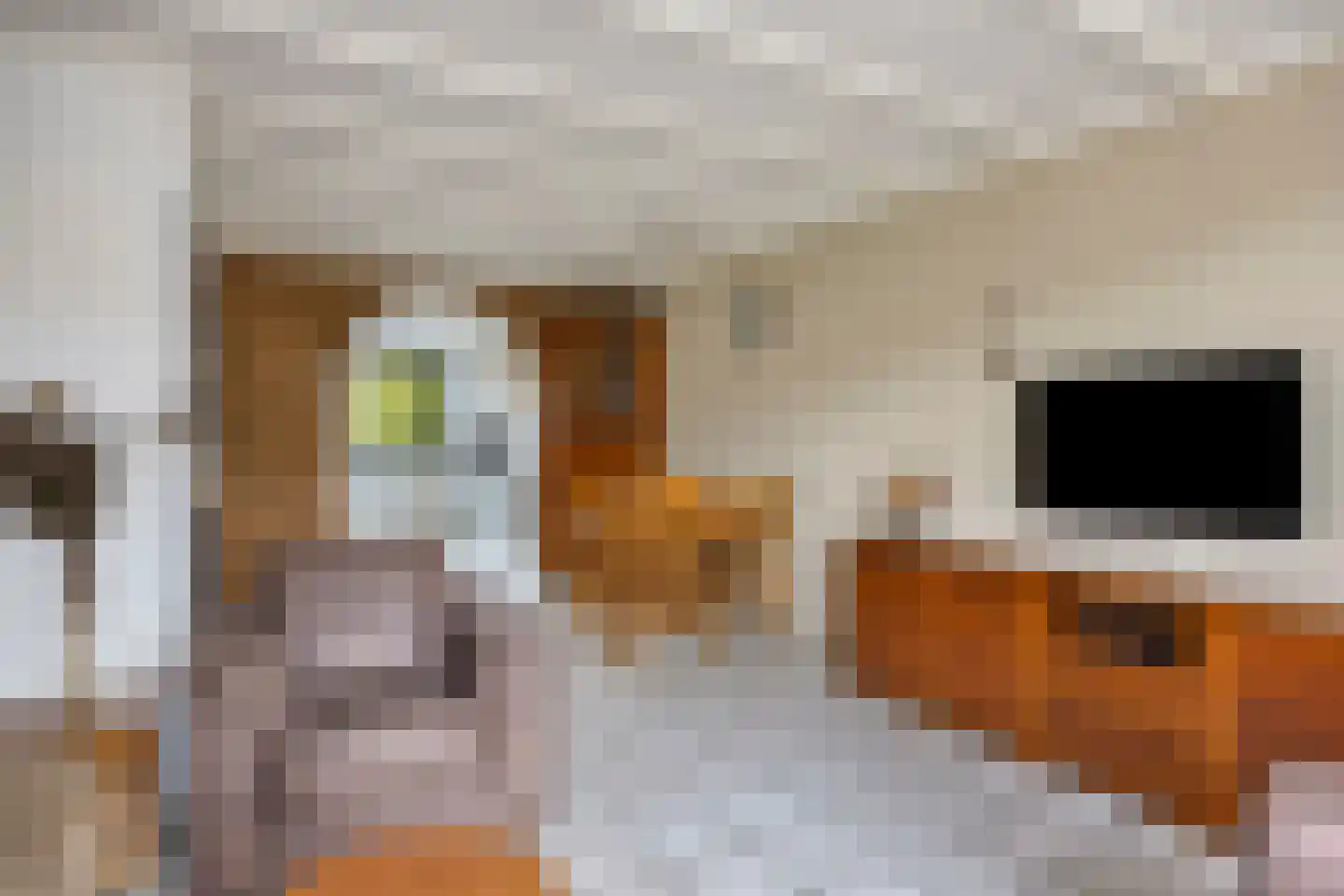 Reinout van Valkenburgstraat 13 Ravenstein thumbnail 4
