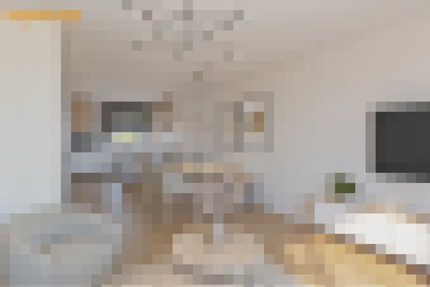 Reinout van Valkenburgstraat 13 Ravenstein thumbnail 5