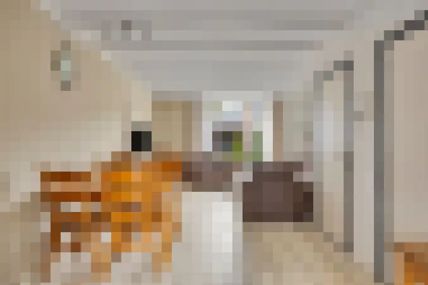 Reinout van Valkenburgstraat 13 Ravenstein thumbnail 8