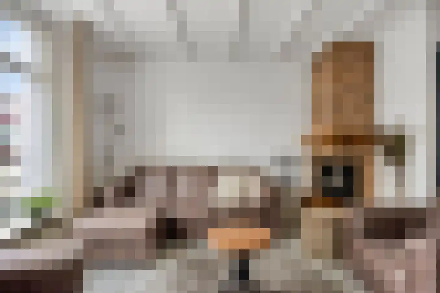 Reinout van Valkenburgstraat 13 Ravenstein thumbnail 9