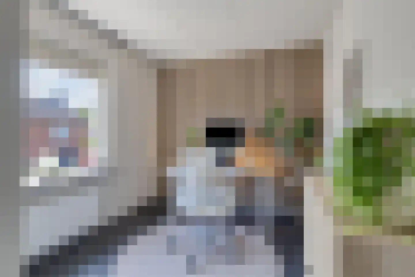 Reinout van Valkenburgstraat 20 Ravenstein thumbnail 22