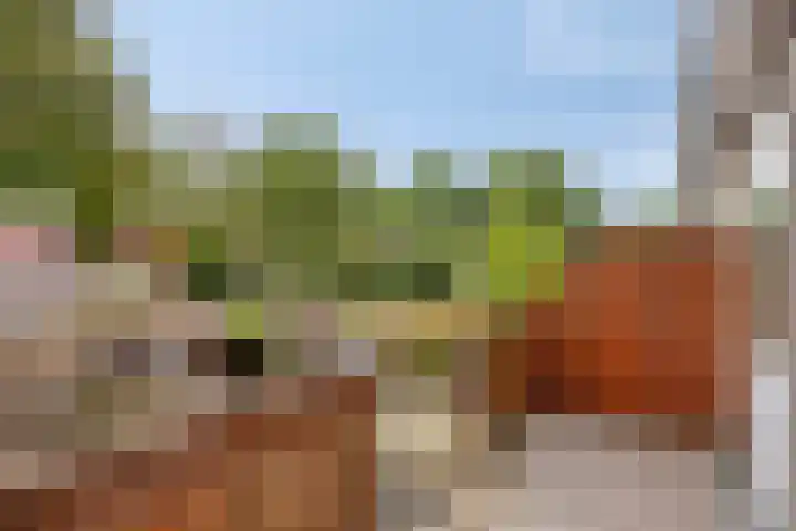 Reinoutlaan 281 Geldrop thumbnail 21