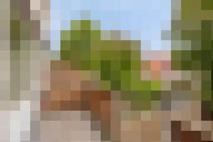 Reinoutlaan 281 Geldrop thumbnail 22