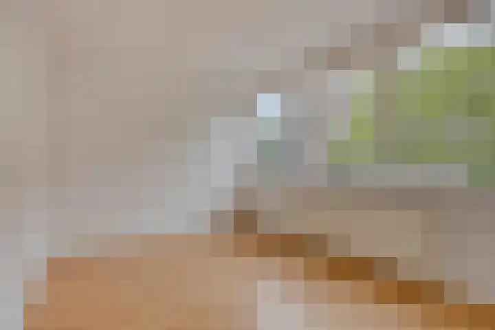 Reinoutlaan 281 Geldrop thumbnail 29