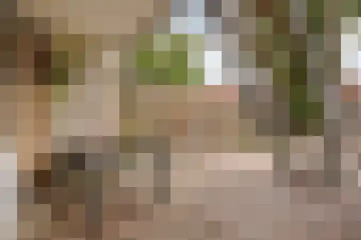 Reinoutlaan 281 Geldrop thumbnail 30
