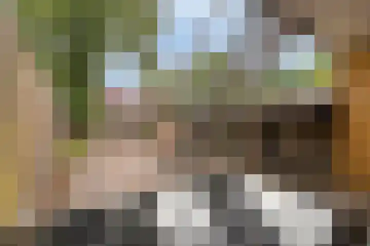 Reinoutlaan 281 Geldrop thumbnail 31
