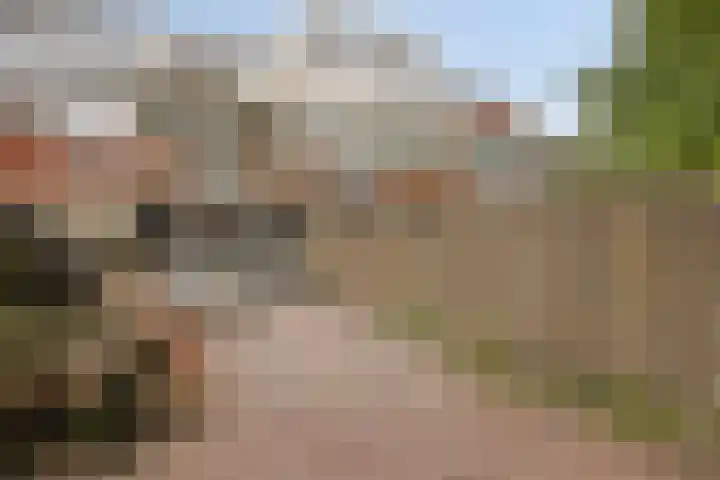 Reinoutlaan 281 Geldrop thumbnail 32
