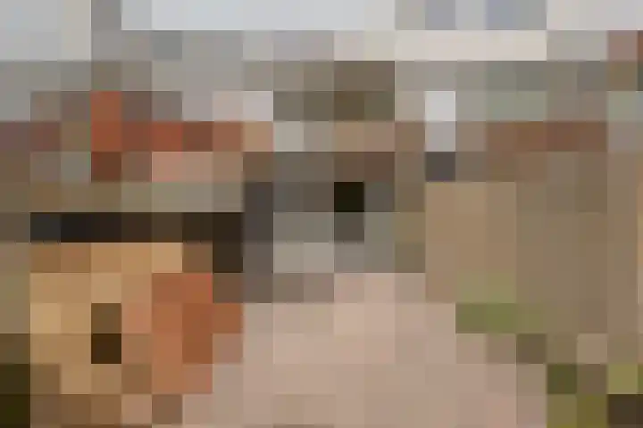 Reinoutlaan 281 Geldrop thumbnail 33