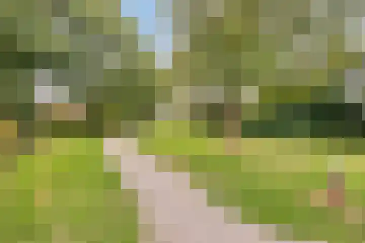 Reinoutlaan 281 Geldrop thumbnail 36