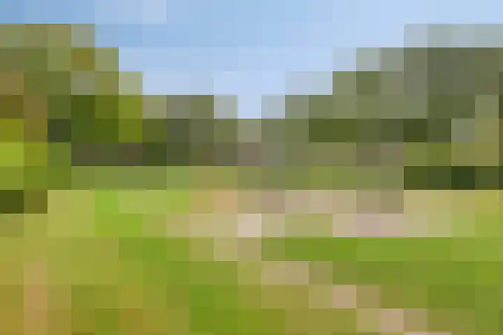 Reinoutlaan 281 Geldrop thumbnail 37