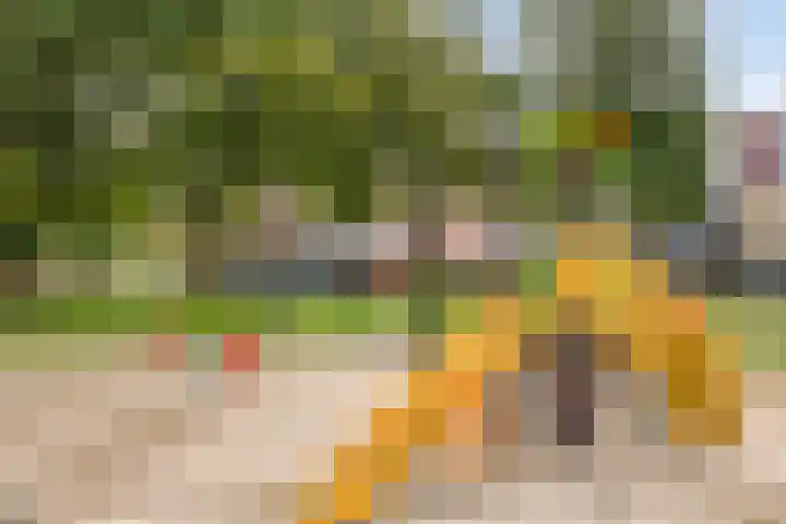 Reinoutlaan 281 Geldrop thumbnail 38