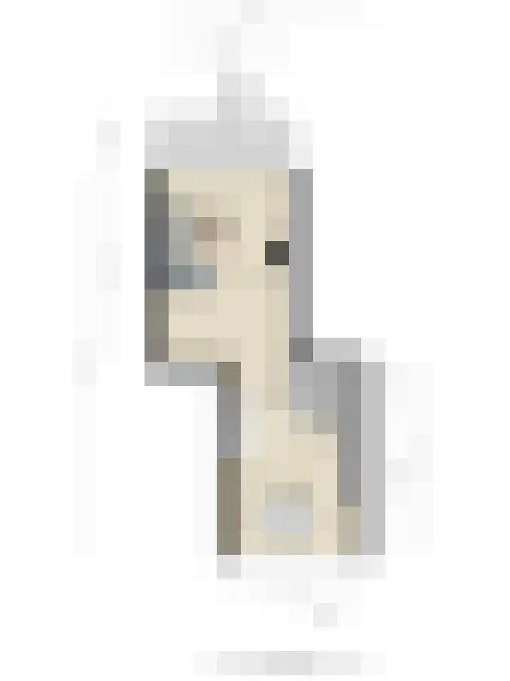 Reinoutlaan 281 Geldrop thumbnail 40