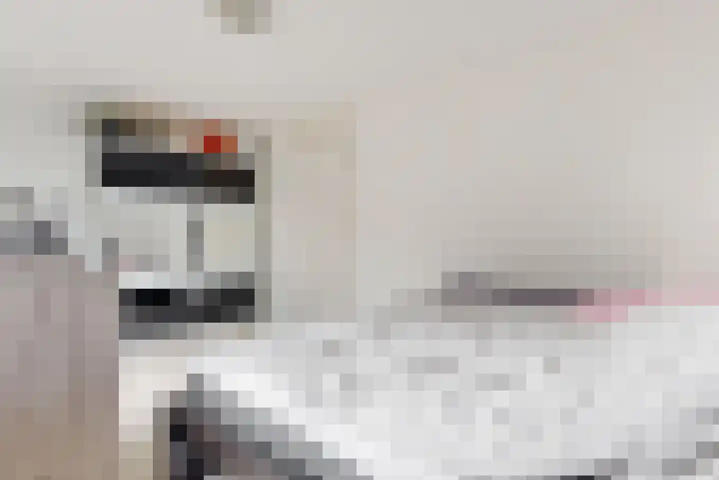 Reinoutsgaarde 12 Nieuwegein thumbnail 10
