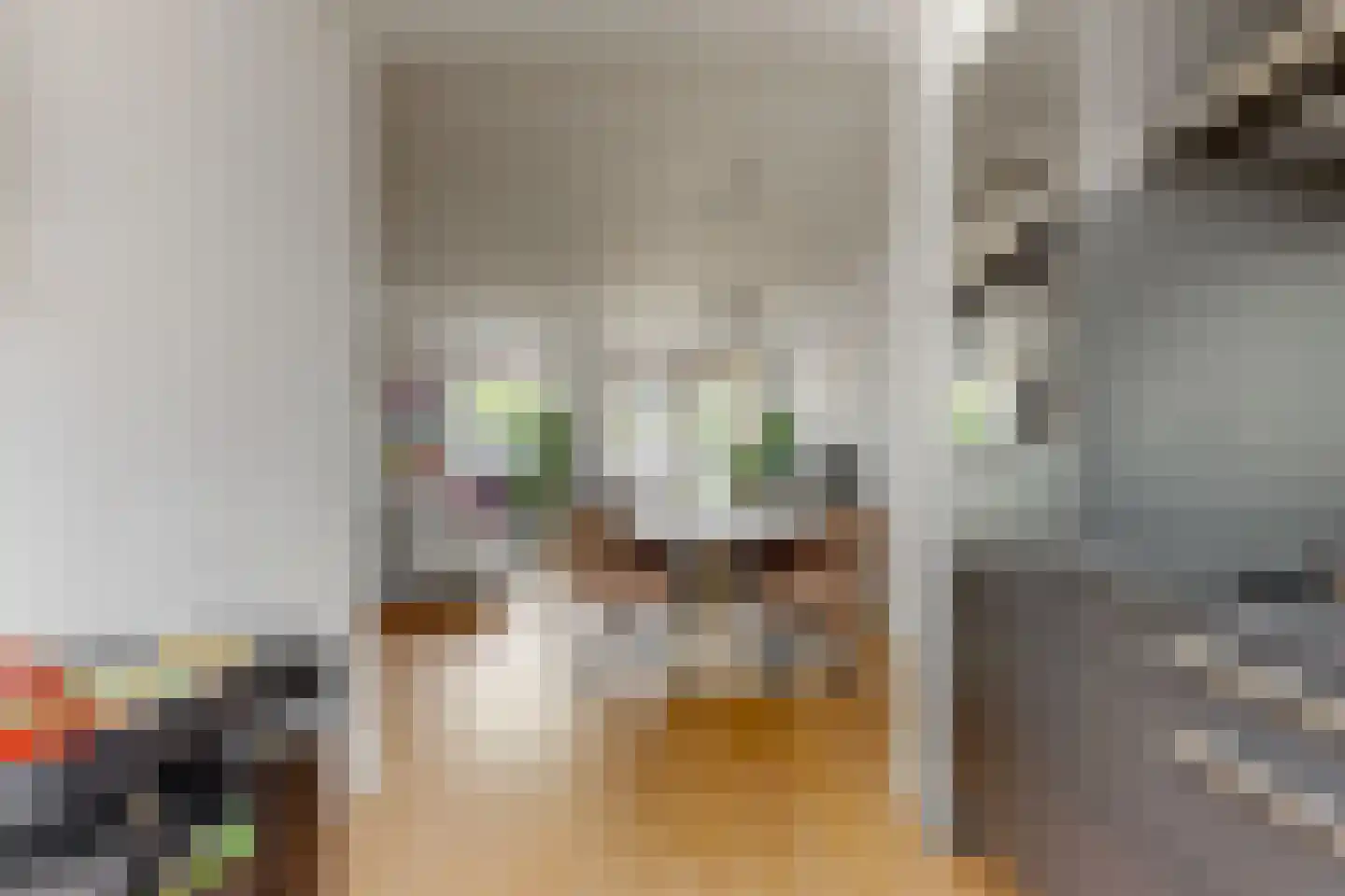 Reinoutsgaarde 12 Nieuwegein thumbnail 7