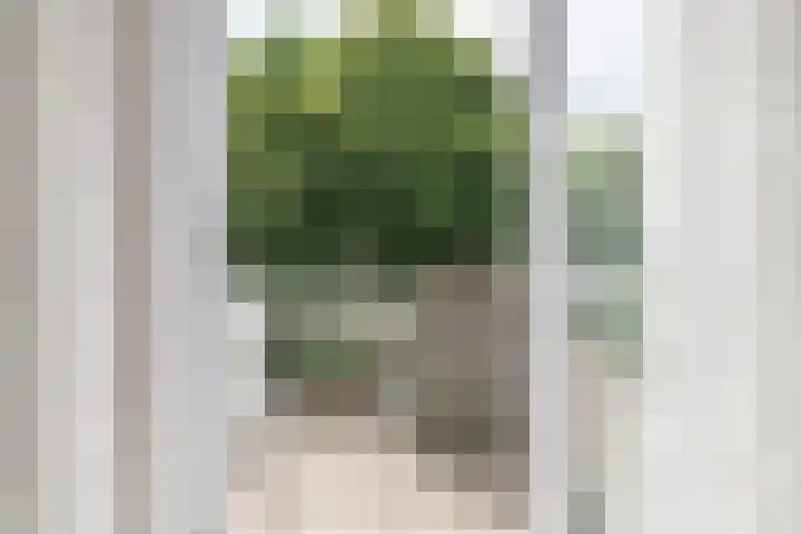 Reinoutsgaarde 13 Nieuwegein thumbnail 15