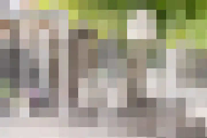 Reinoutsgaarde 13 Nieuwegein thumbnail 30