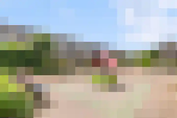 Reinoutsgaarde 13 Nieuwegein thumbnail 32