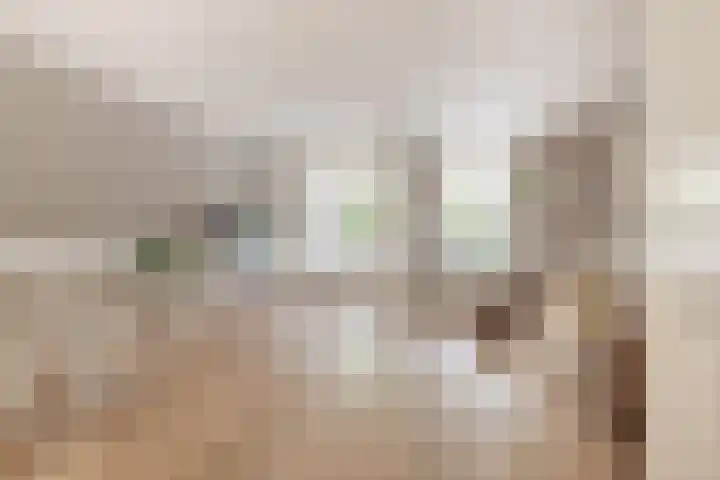 Reinoutsgaarde 13 Nieuwegein thumbnail 6