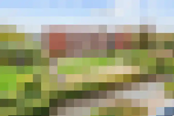 Reint Dijkemastraat 19 Siddeburen thumbnail 30
