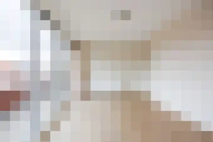 Reint Dijkemastraat 19 Siddeburen thumbnail 41