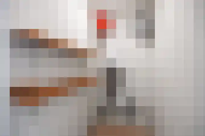 Reint Dijkemastraat 19 Siddeburen thumbnail 50