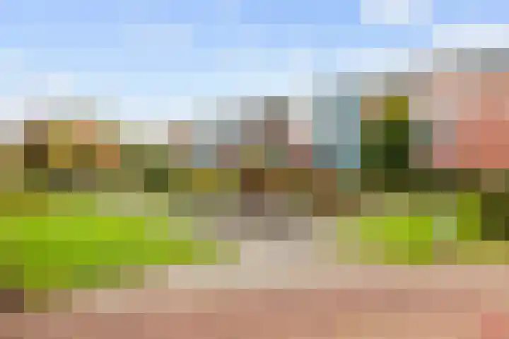 Reint Dijkemastraat 19 Siddeburen thumbnail 53