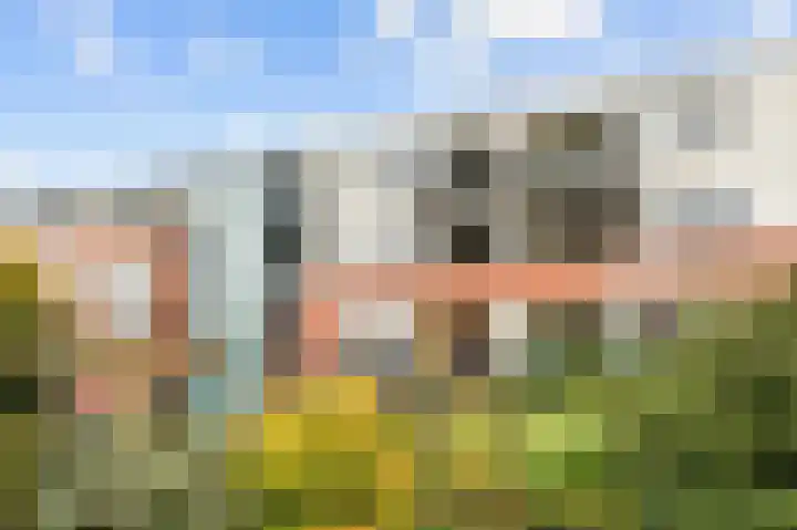 Reint Dijkemastraat 19 Siddeburen thumbnail 56