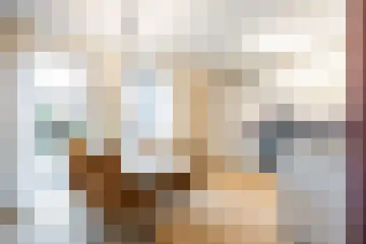 Reint Dijkemastraat 22 Siddeburen thumbnail 21