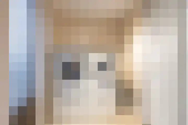 Reint Dijkemastraat 22 Siddeburen thumbnail 27