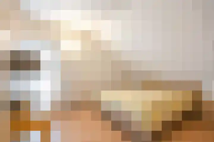 Reint Dijkemastraat 22 Siddeburen thumbnail 40