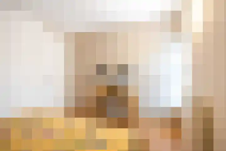 Reint Dijkemastraat 22 Siddeburen thumbnail 41
