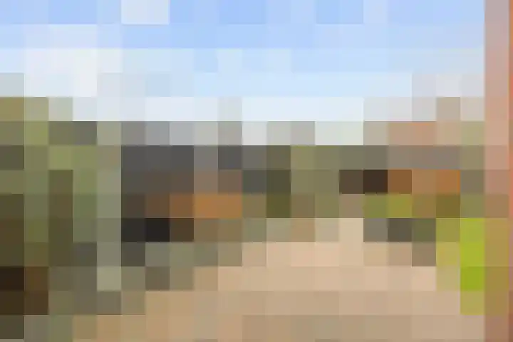 Reint Dijkemastraat 22 Siddeburen thumbnail 43