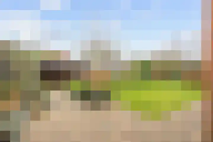 Reint Dijkemastraat 22 Siddeburen thumbnail 44