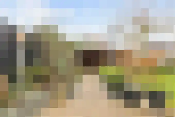 Reint Dijkemastraat 22 Siddeburen thumbnail 45