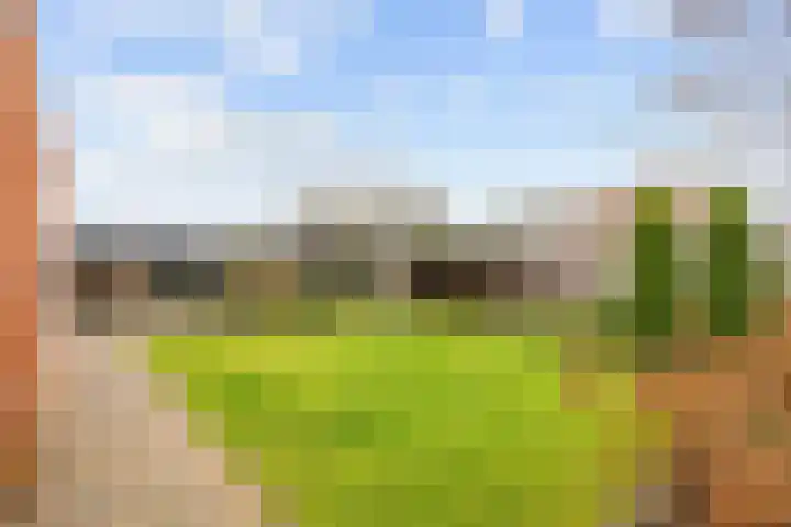 Reint Dijkemastraat 22 Siddeburen thumbnail 46