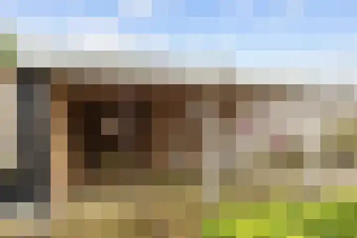 Reint Dijkemastraat 22 Siddeburen thumbnail 47