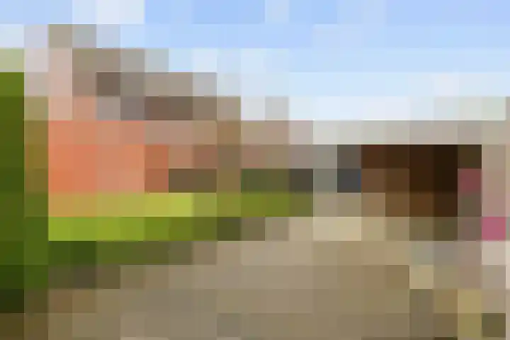 Reint Dijkemastraat 22 Siddeburen thumbnail 51