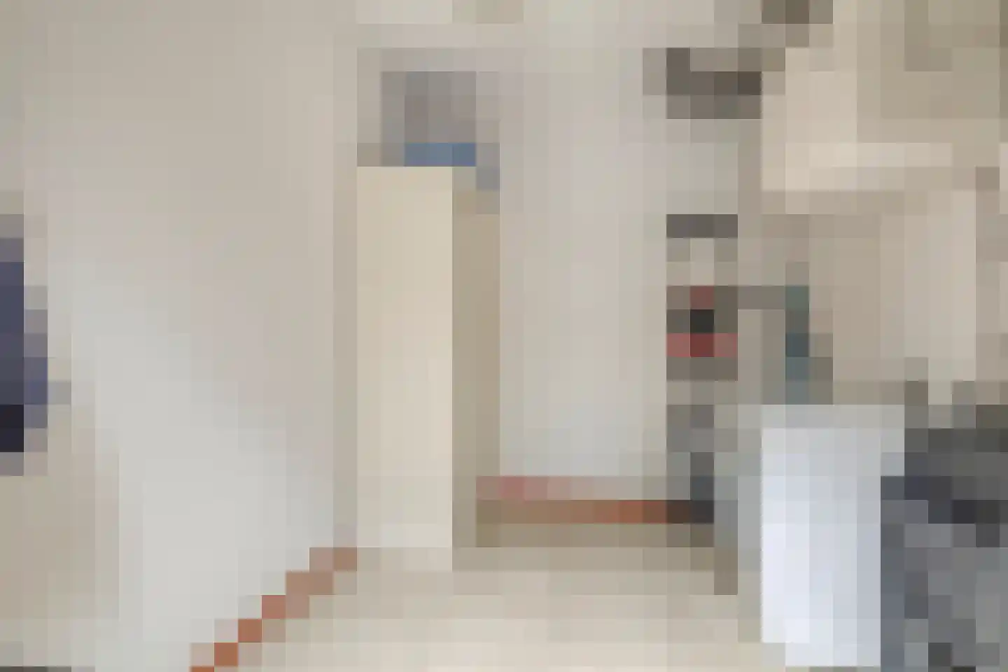 Reint Dijkemastraat 6 A Siddeburen thumbnail 40
